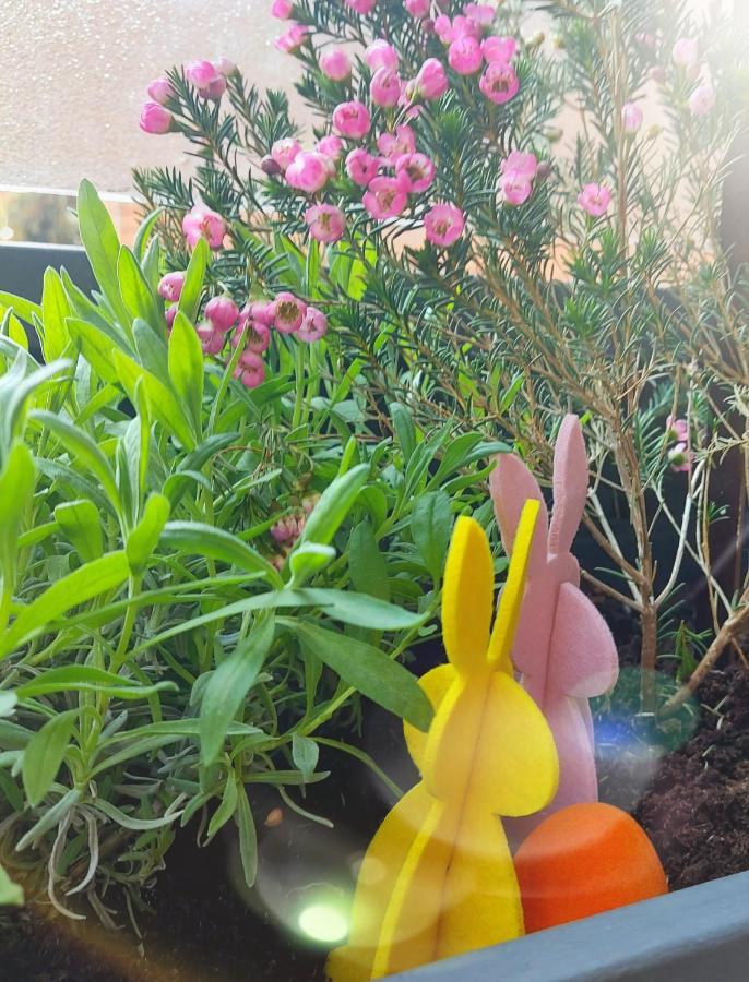 מלון בולוניה A Casa Di Gemma מראה חיצוני תמונה