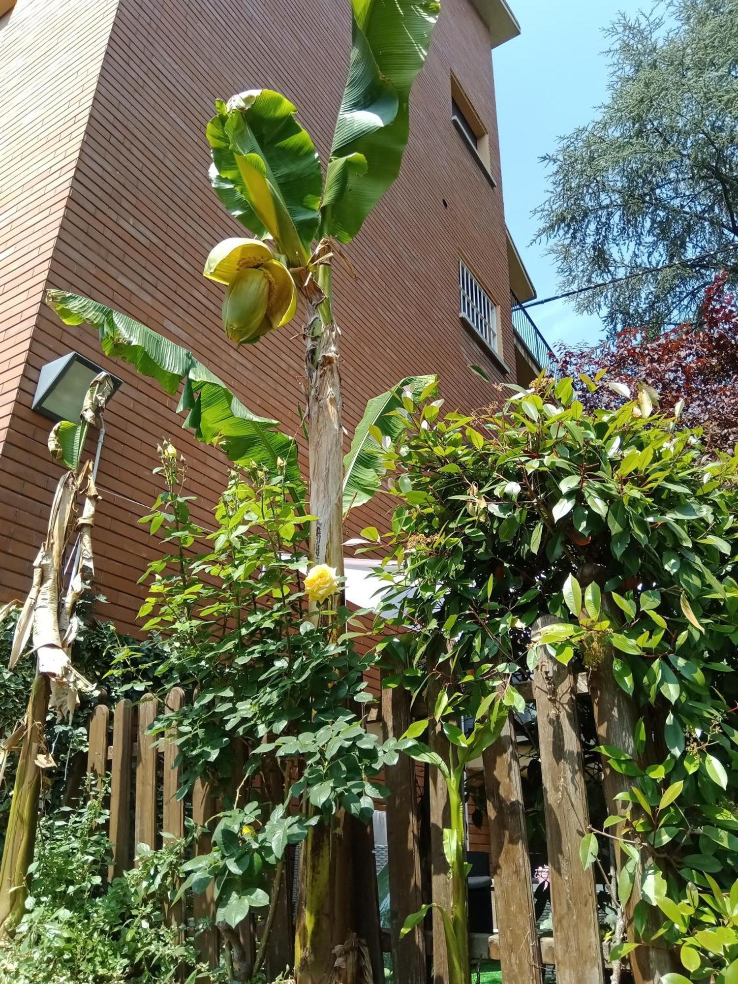 מלון בולוניה A Casa Di Gemma מראה חיצוני תמונה